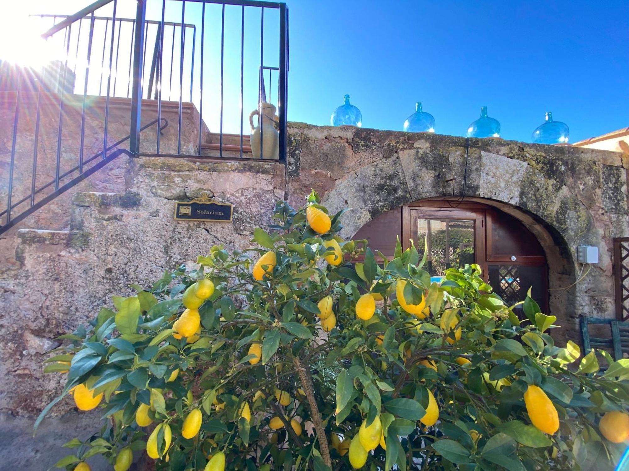 Finca Sa Canova Agroturismo Campos  Zewnętrze zdjęcie